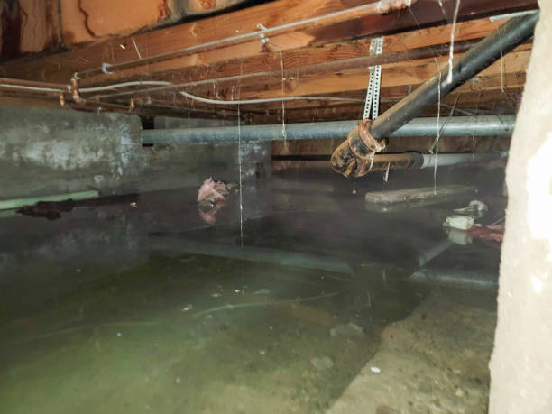 Best Flooded house restoration  in Chalco, NE