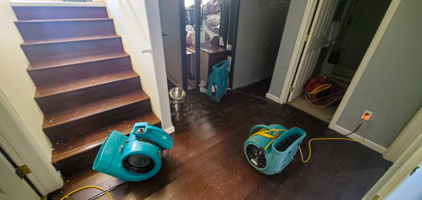 Chalco, NE Water damage restoration Company
