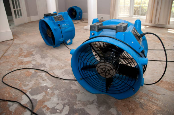 Local water damage restoration in Chalco, NE