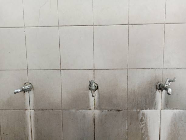 Best Flood restoration services  in Chalco, NE
