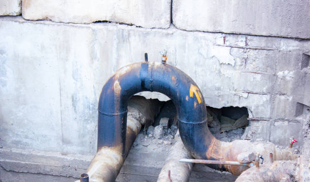 Carpet water damage restoration in Chalco, NE
