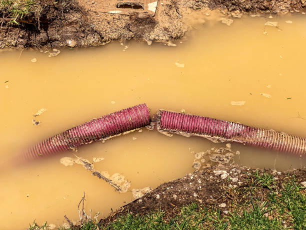 Best Flood damage cleanup  in Chalco, NE