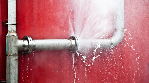 Best Mold removal after water damage  in Chalco, NE